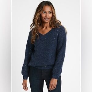 🦌 Banana Republic Wide V Neck Sequin Sweater in Blue~ perfect for the holidays!